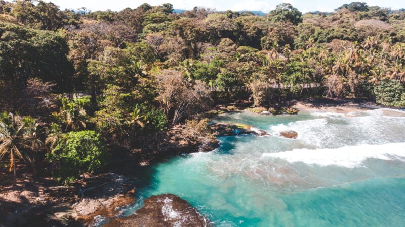 Puerto Viejo Coastline