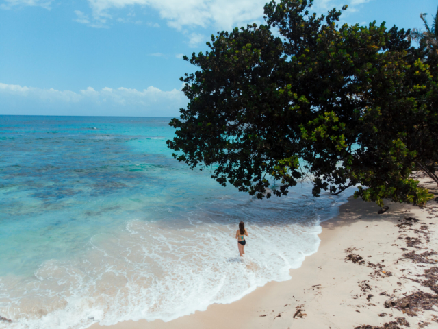 Isla Zapatilla, Panama