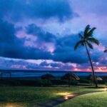 Sunset and palm trees by the ocean in Mazatlan, Mexico