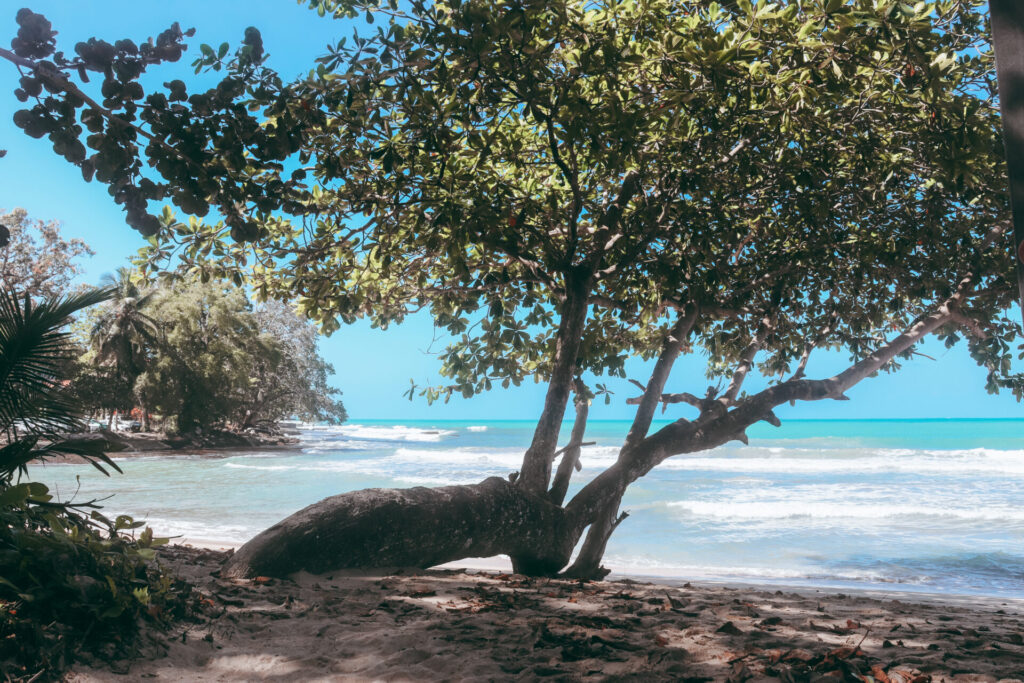 Cahuita National Park, Playa Blanca, Costa Rica