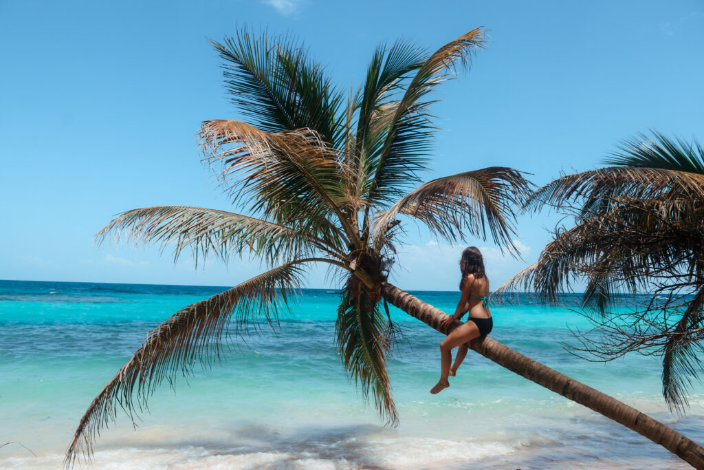 Wini sitting on a palm tree over the ocean in Isla Zapatilla, Panama