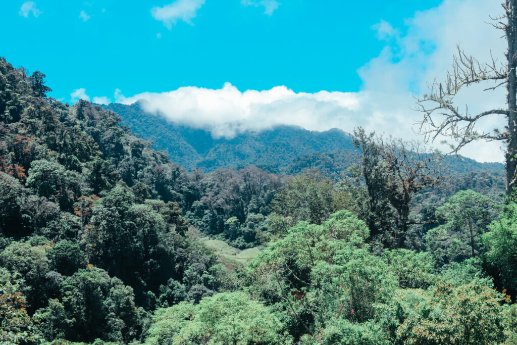 Mountain view on the Lost Waterfalls Trail in Boquete, Panama