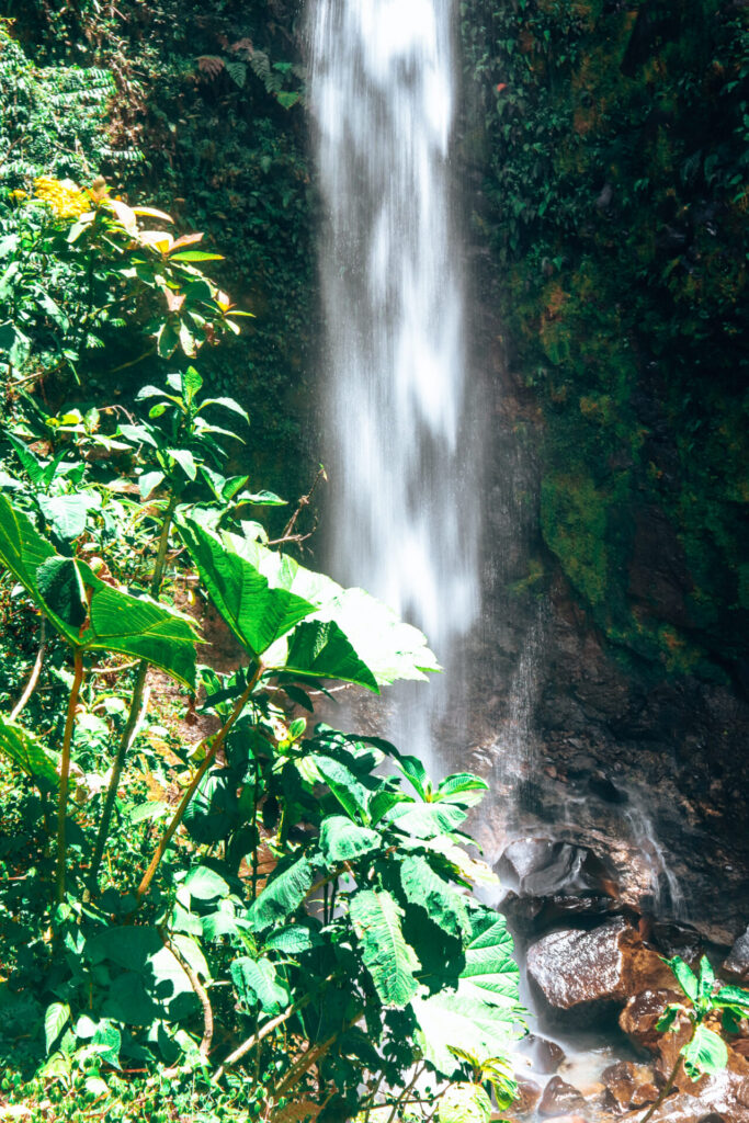 Waterfall on the Lost Waterfalls Trail in Boquete, Panama