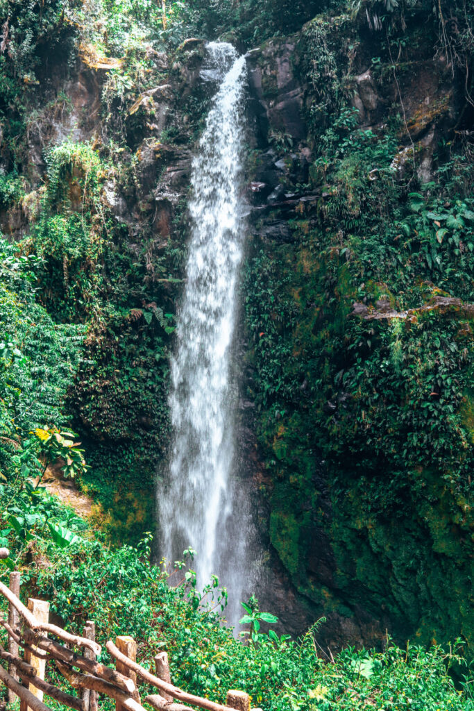 Waterfall on the Lost Waterfalls Trail in Boquete, Panama