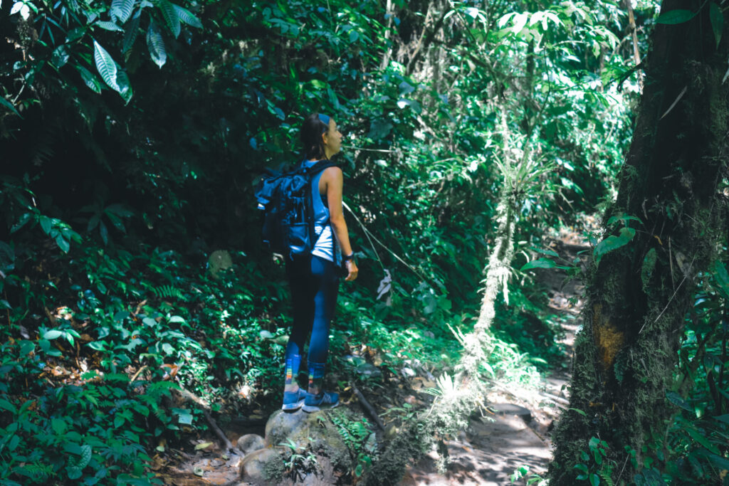 Hiking on the Lost Waterfalls Trail in Boquete, Panama