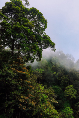 Misty mountain Taroko Gorge, Taroko National Park, Hualien, Taiwan