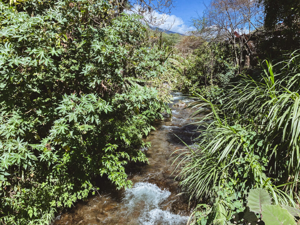 A creek running through Boquete, Panama