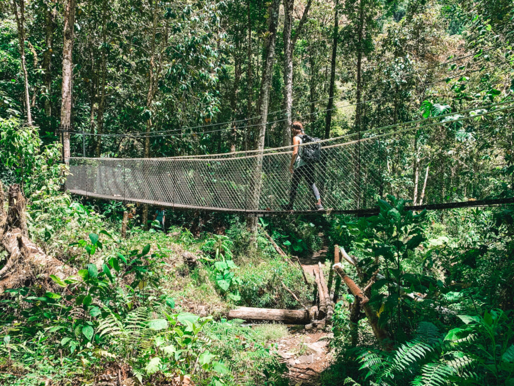 Hanging bridge on the Lost Waterfalls Trail in Boquete, Panama
