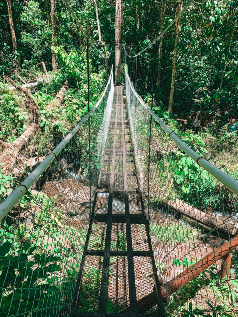 Hanging bridget on the Lost Waterfalls Trail in Boquete, Panama