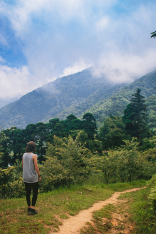 Wini in Taroko Gorge, in Taroko National Park, Hualien, Taiwan