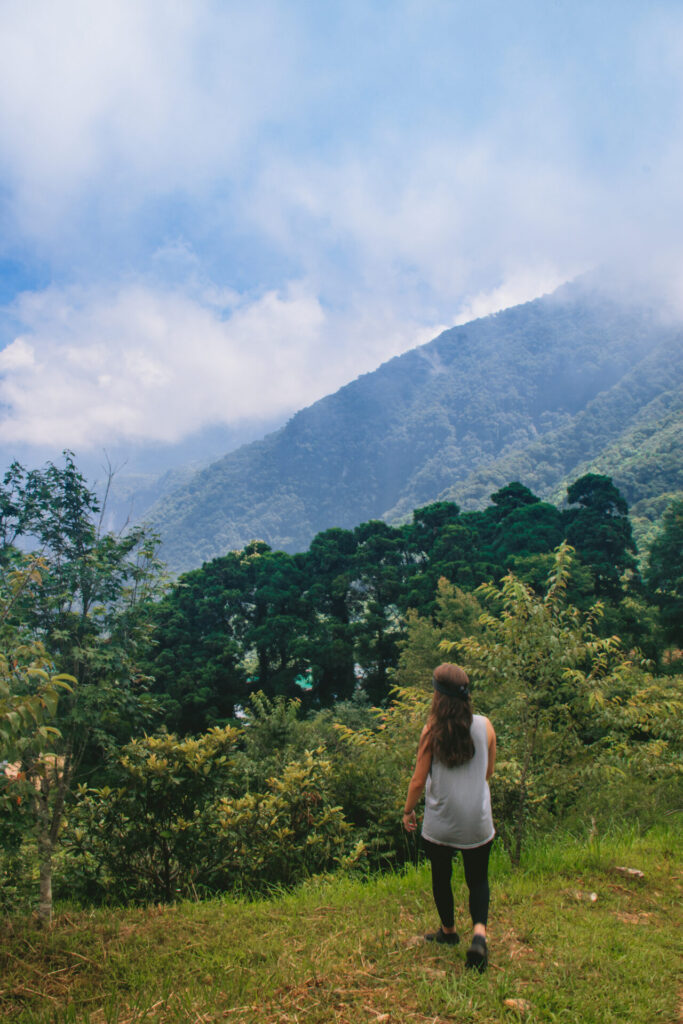 Wini in Taroko Gorge, in Taroko National Park, Hualien, Taiwan