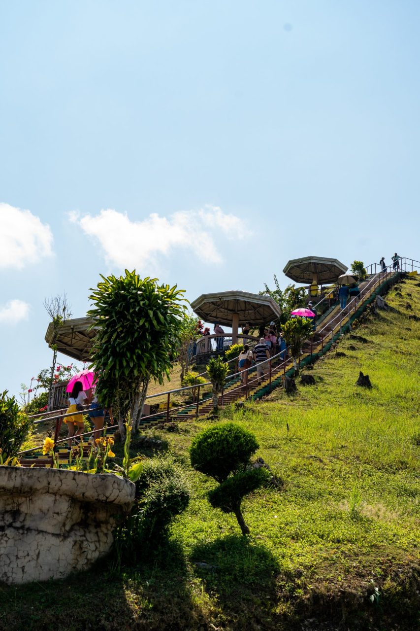 bohol chocolate hills tour