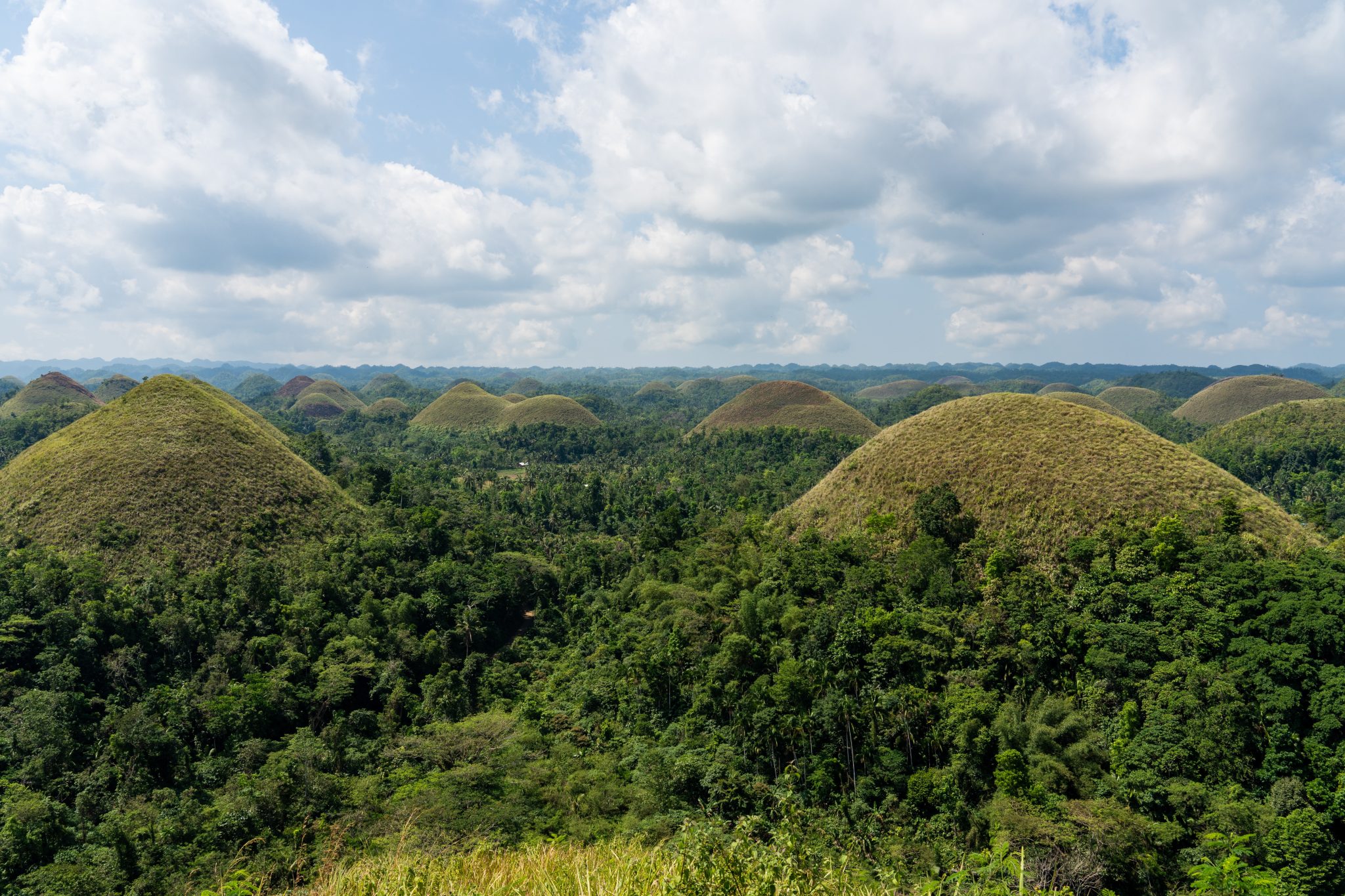 ULTIMATE DAY TRIP TO THE FAMOUS CHOCOLATE HILLS IN BOHOL, PHILIPPINES ...