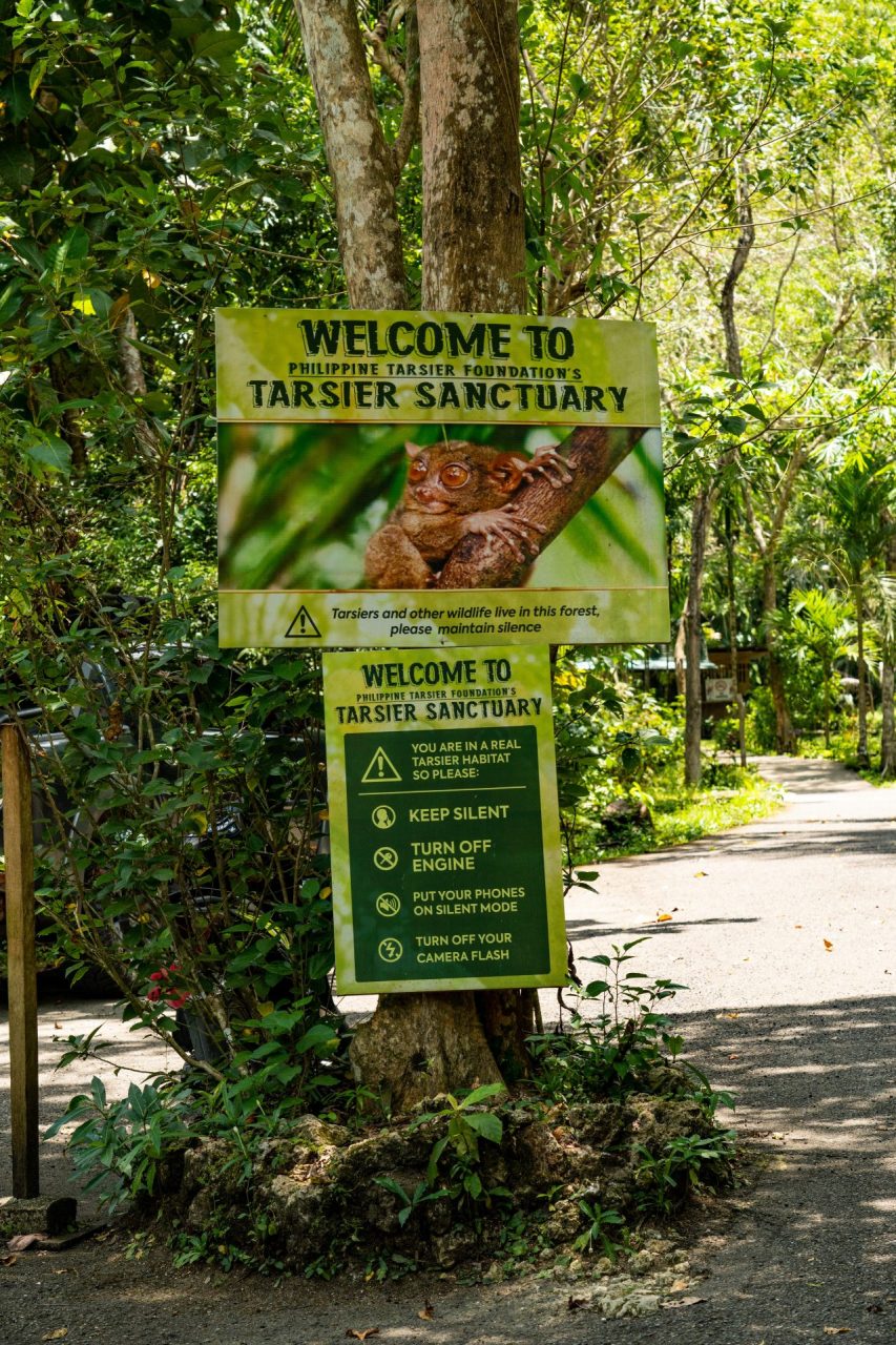 Philippines Tarsier Sanctuary