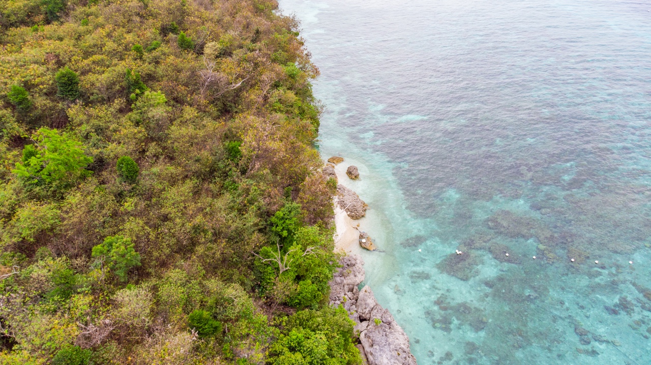 Sumilon Island Drone Aerial View on snorkelling sumilon island reef