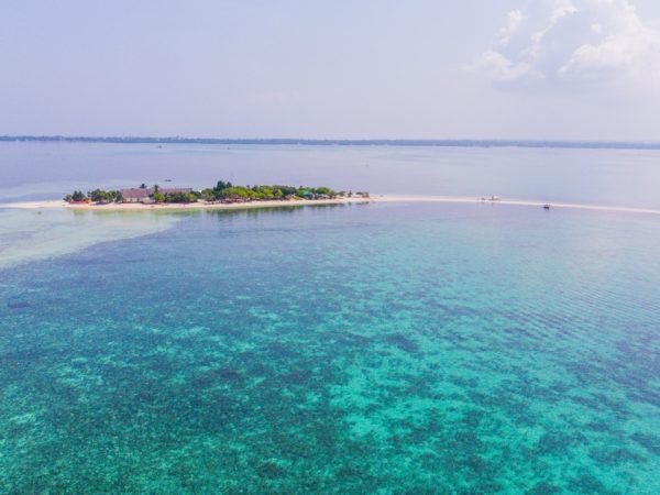 BEAUTIFUL BALICASAG ISLAND SNORKELLING & DOLPHIN WATCHING IN PANGLAO, BOHOL