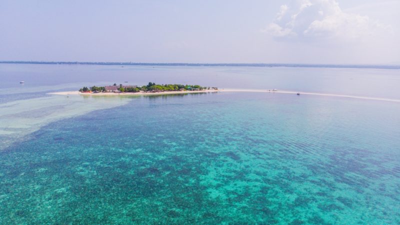 BEAUTIFUL BALICASAG ISLAND SNORKELLING & DOLPHIN WATCHING IN PANGLAO, BOHOL