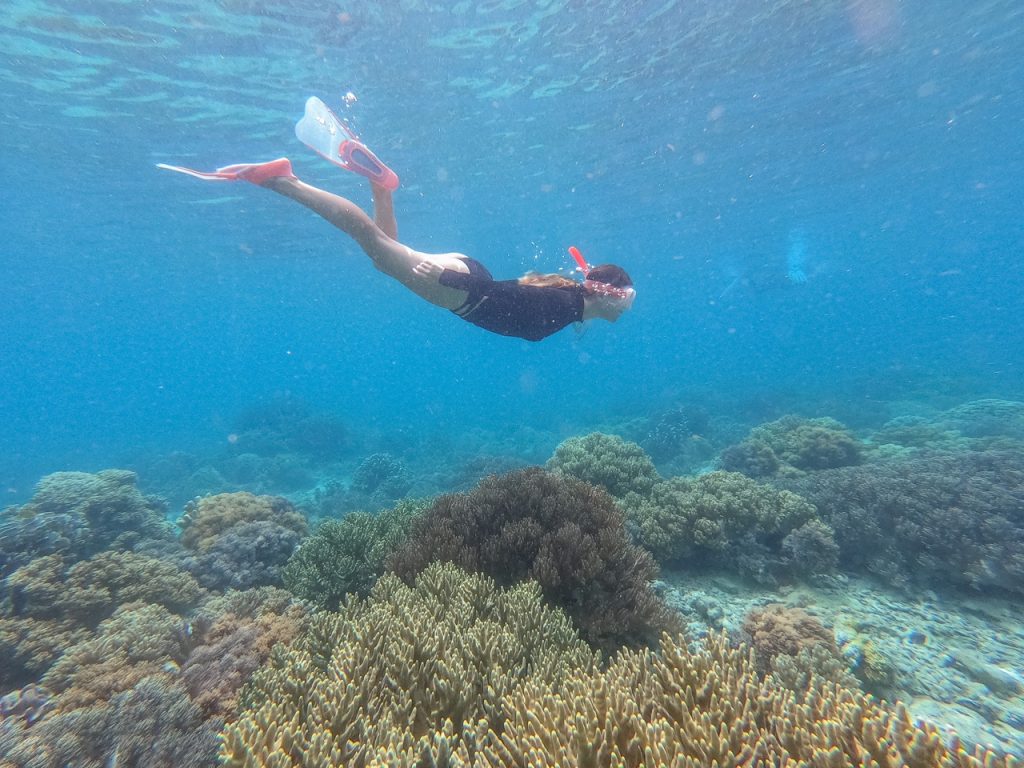 Snorkelling Sumilon Island Coral Reef Marine Protected Sanctuary Philippines