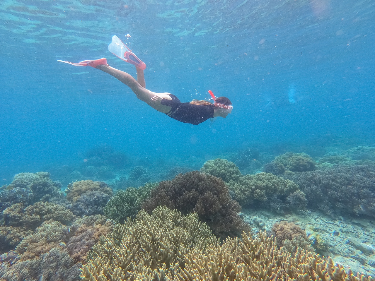 Snorkelling Sumilon Island Coral Reef Protected Marine Sanctuary