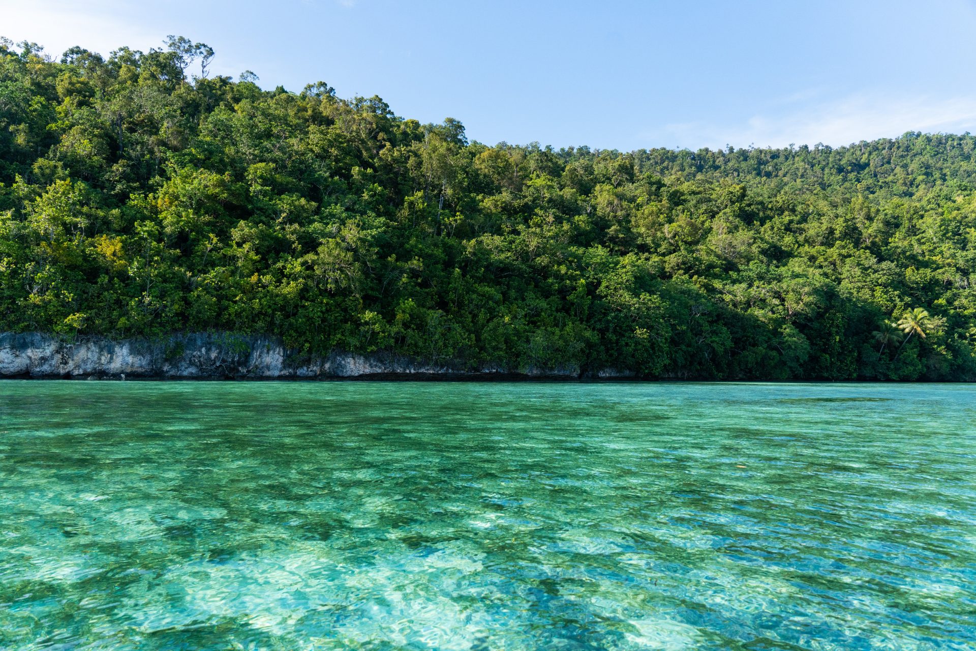 Island view from boat. Raja Ampat, Indonesia