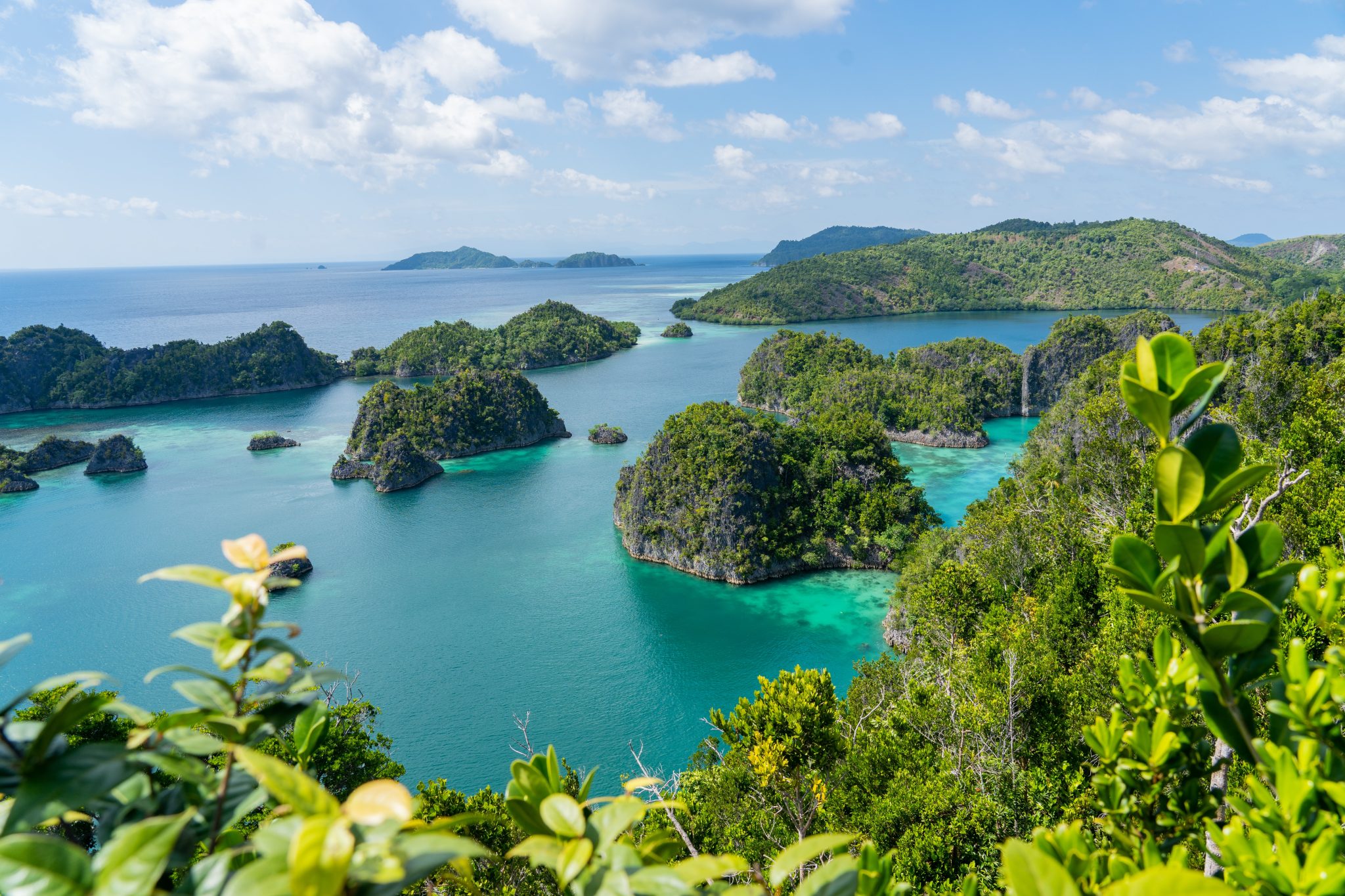 DAY TRIP TO THE ENCHANTING PIAYNEMO IN RAJA AMPAT, INDONESIA