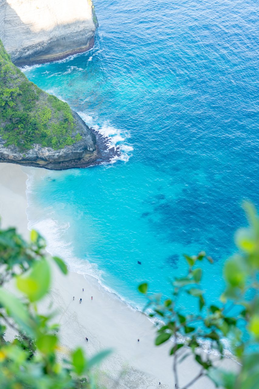 Manta Ray Swimming at Kelingking Beach in Nusa Penida