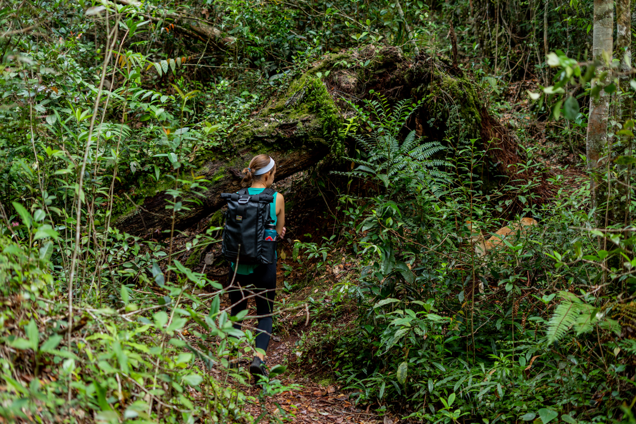 Cameron Highlands Hike