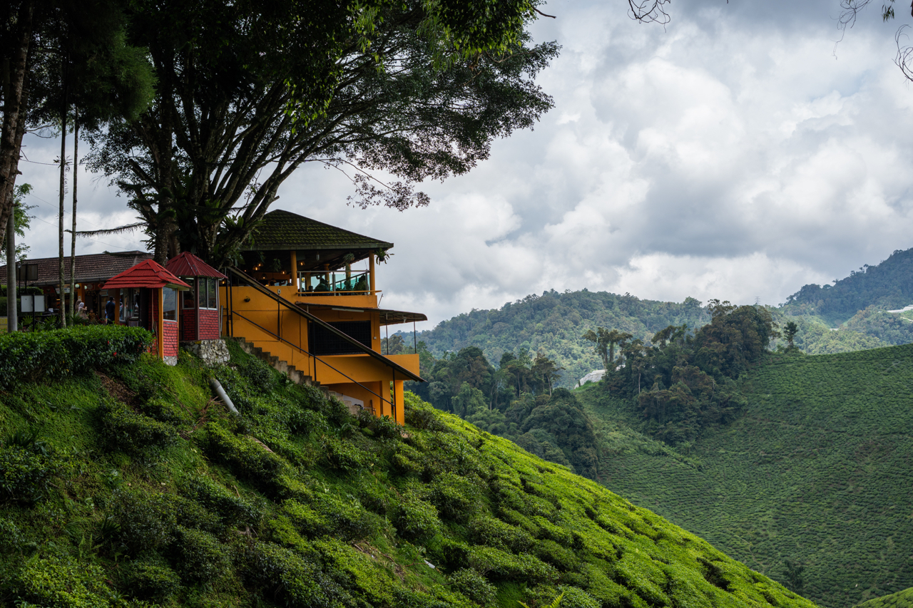 Cameron Valley Tea House in the Cameron Highlands, Malaysia