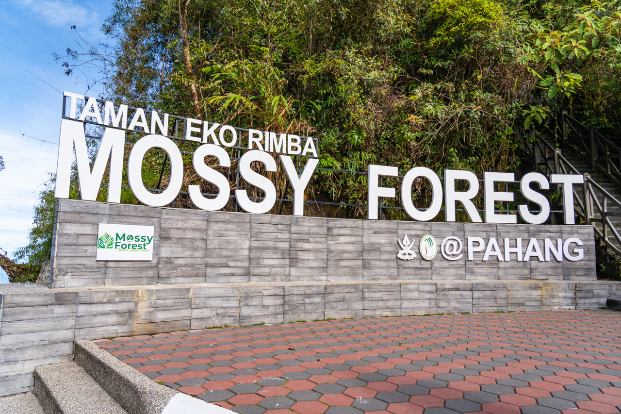 Mossy Forest, Cameron Highlands, Malaysia Entrance Sign