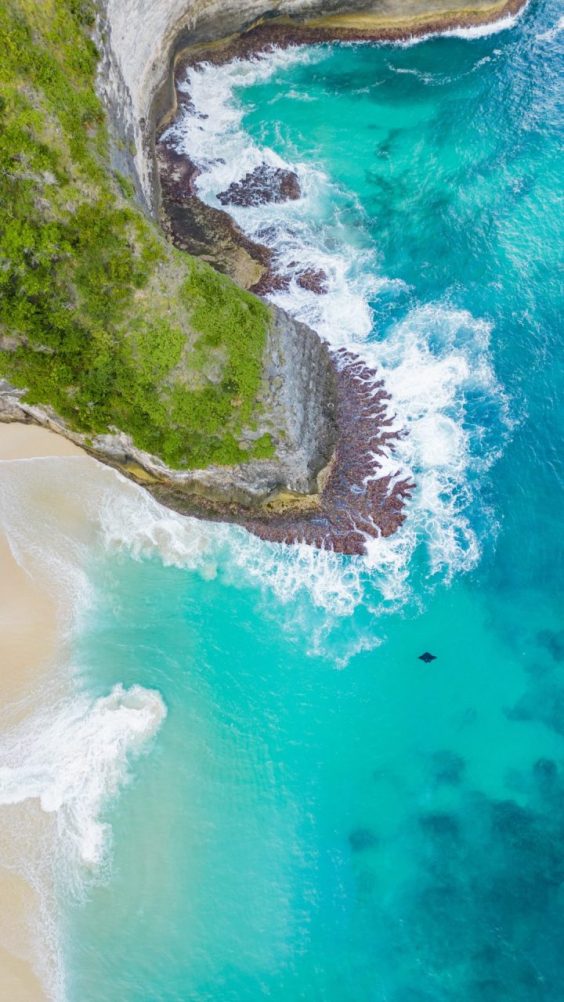 Manta Swimming at Kelingking Beach in Nusa Penida