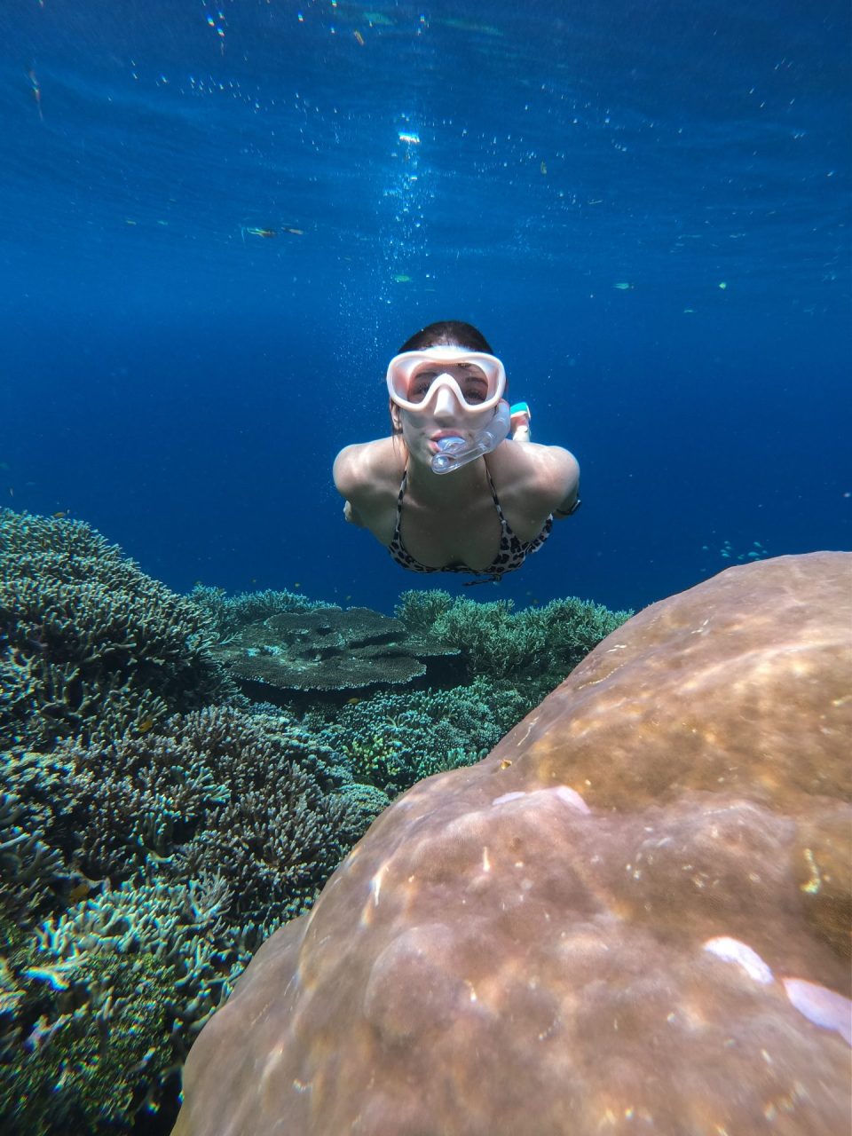Sarah snorkeling through coral