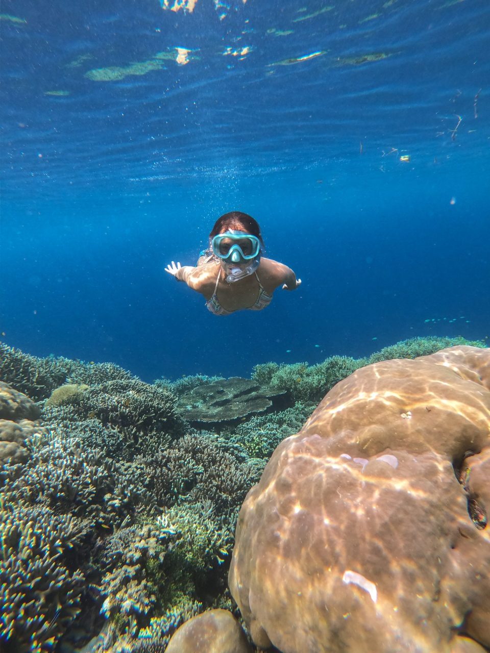 Wini snorkeling through coral