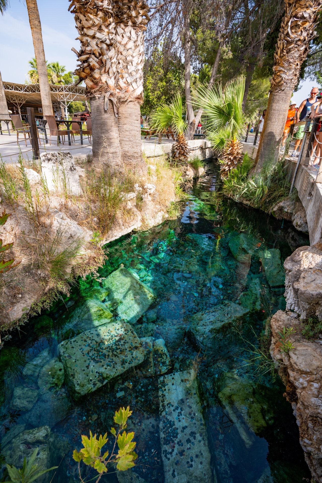 Cleopatra’s Antique Pool hierapolis pamukkale turkey tour