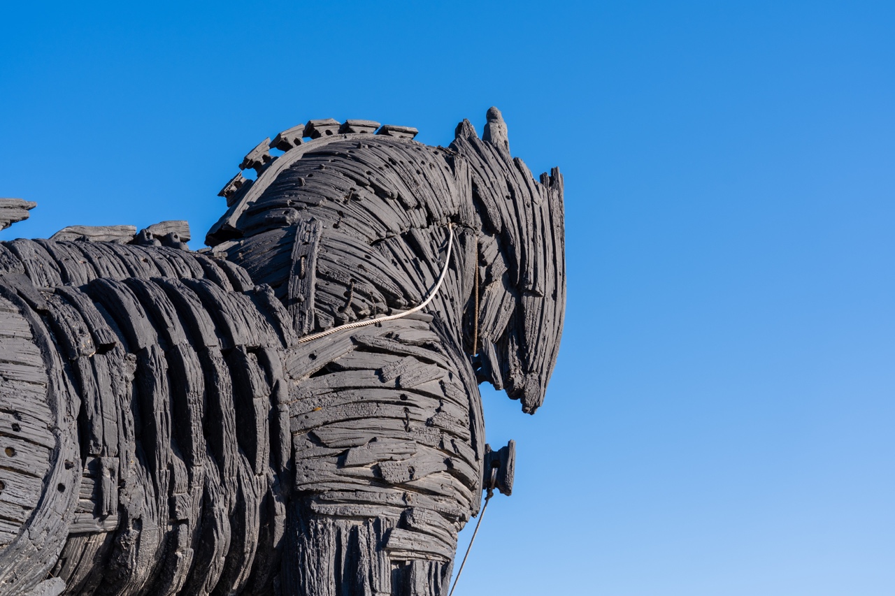 THE TROJAN WAR CHRONICLES: THE EPIC CITY OF ANCIENT TROY