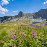 7 Rila Lakes Hike, Sofia Bulgaria summer wildflowers and mountains