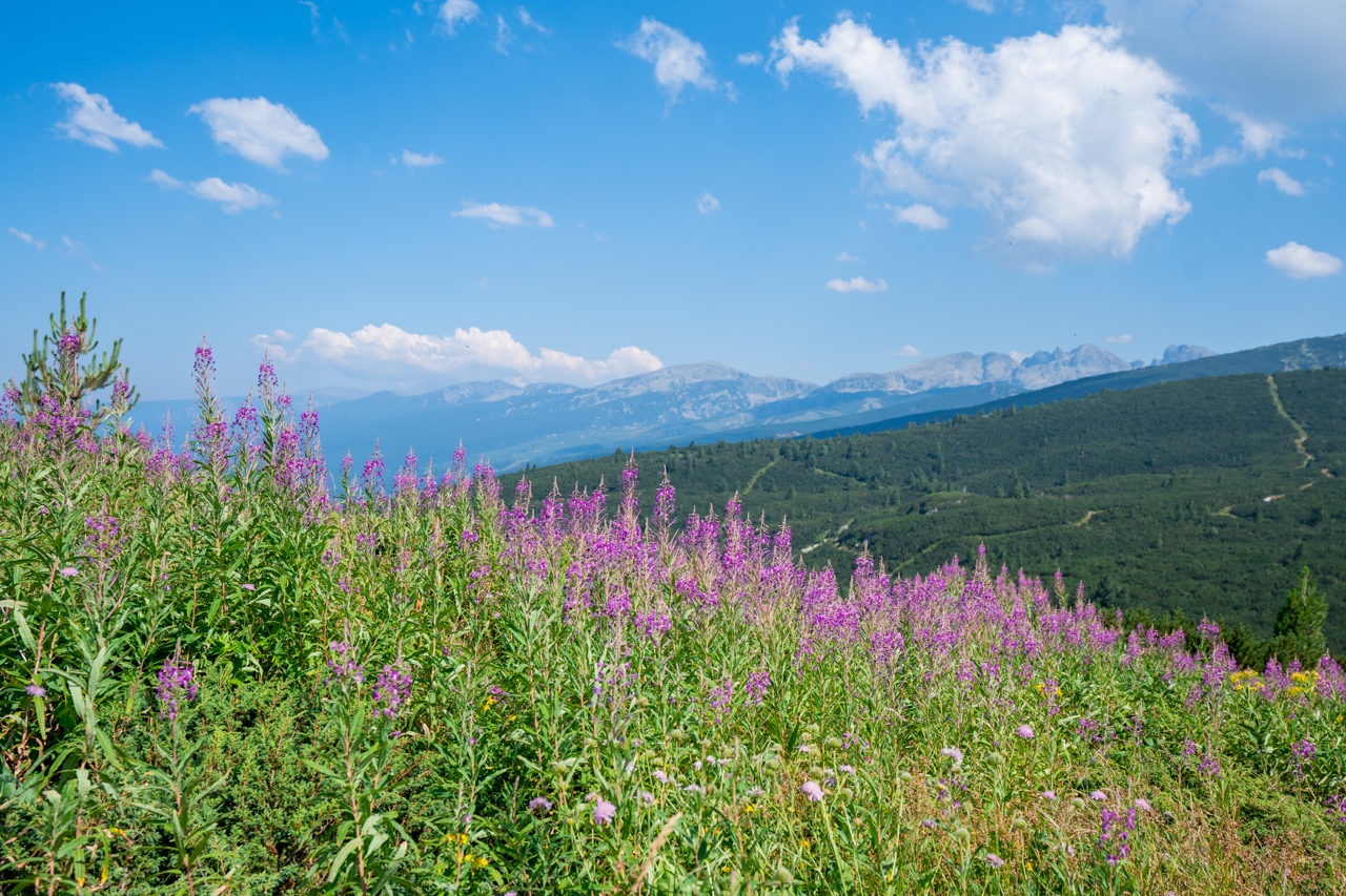 Seven Rila Lakes Hike, Sofia Bulgaria