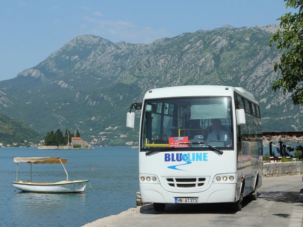 tivat to dubrovnik bus