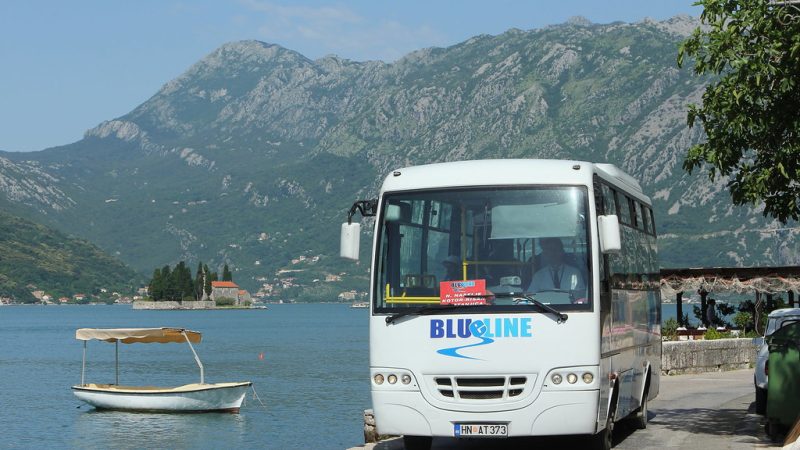 tivat to dubrovnik bus