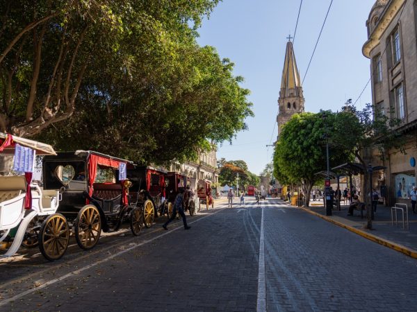 free things to do in guadalajara on a budget