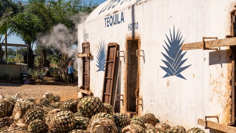 tequila tour