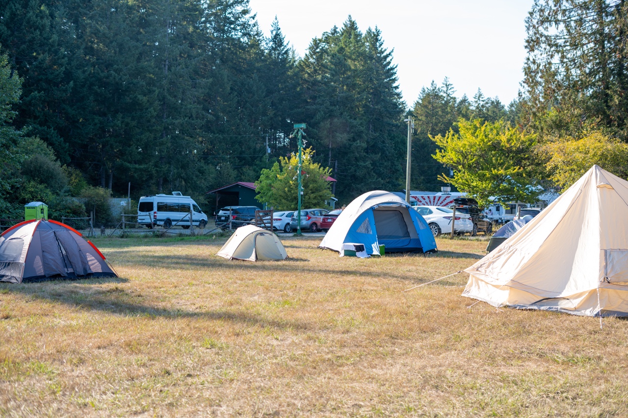 camping honeymoon, camping wedding venue, vancouver island wedding venue