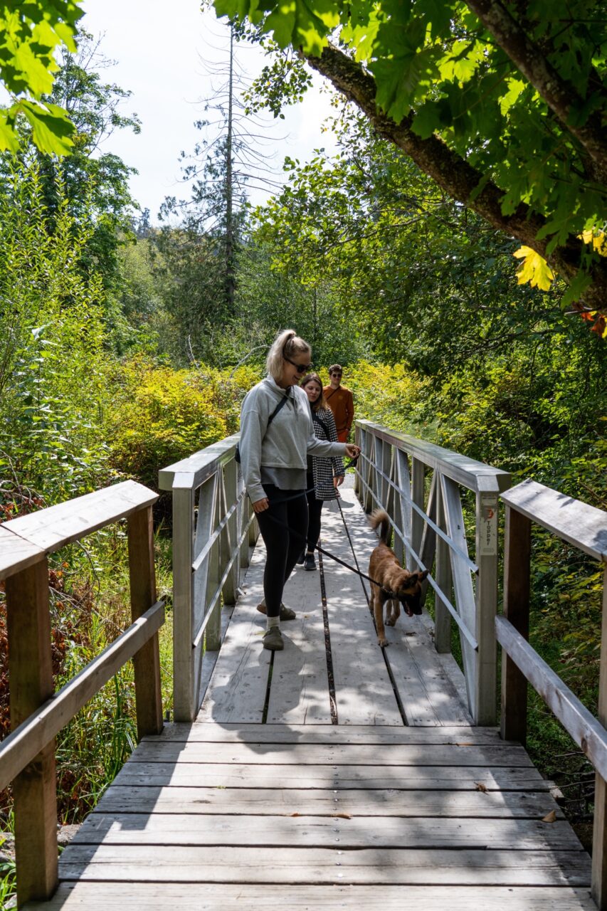 bright angel park vancouver island canada