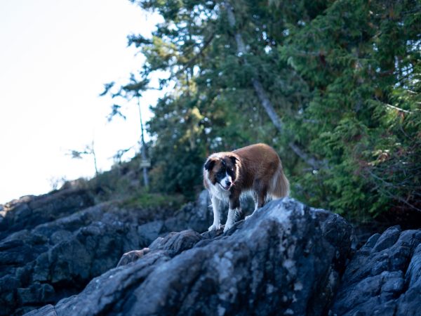 vancouver island