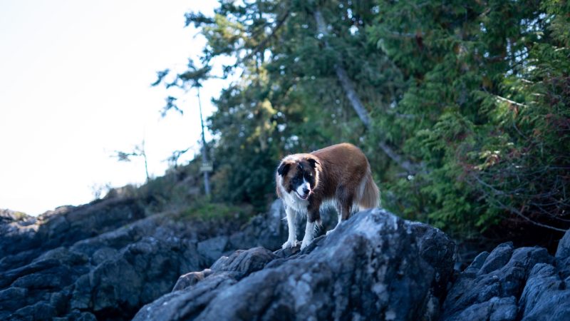 vancouver island