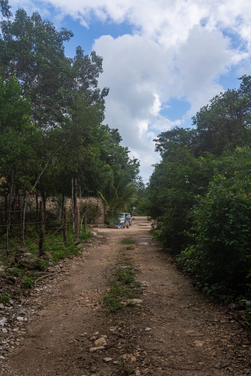unpaved roads tulum mexico jungle