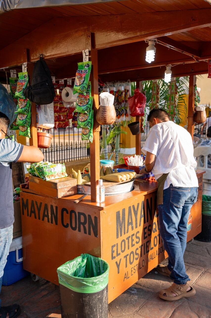 mayan corn
