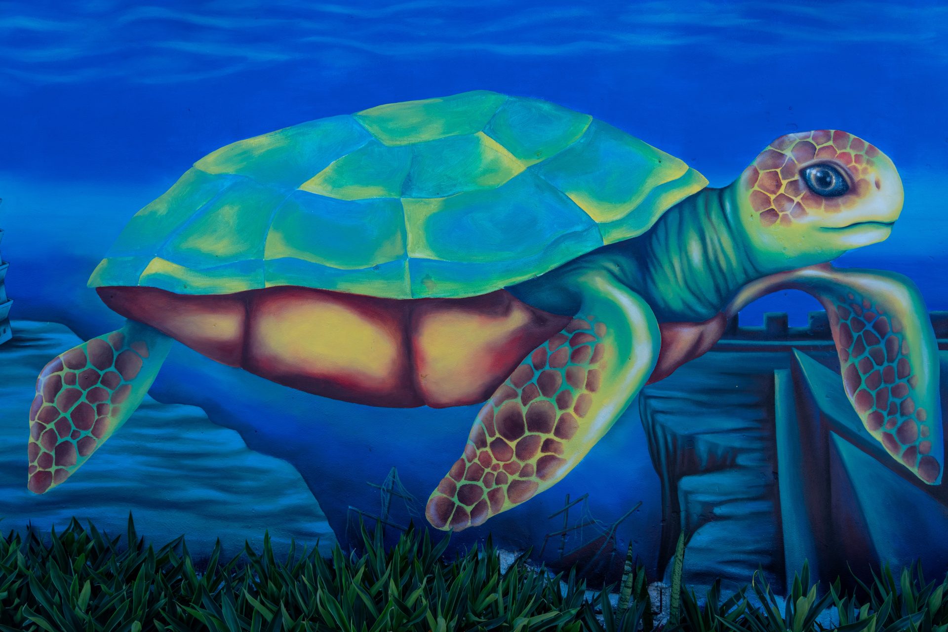 tortuga pizza bacalar turtle mural mexico