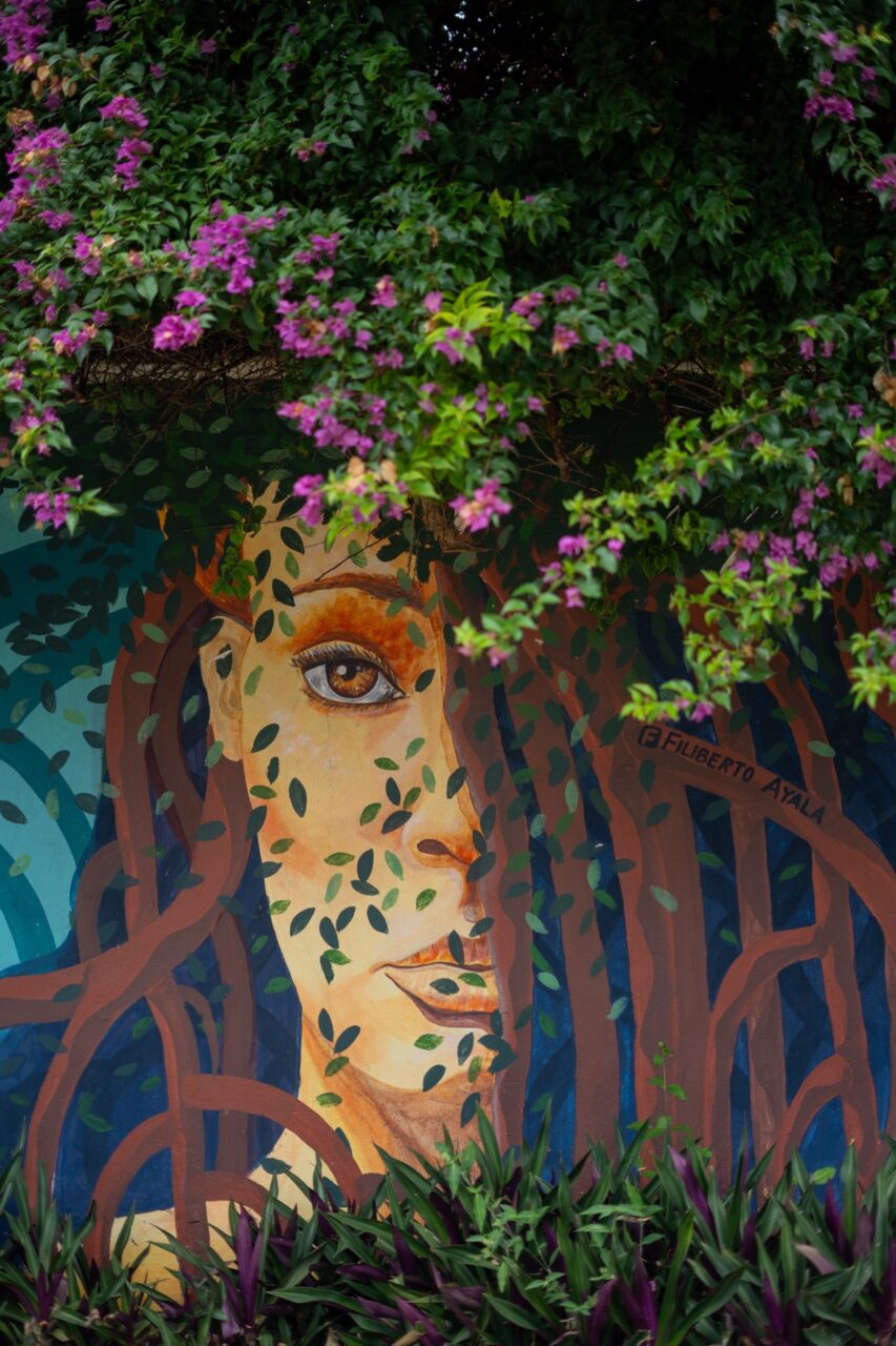 bacalar murals and flowers