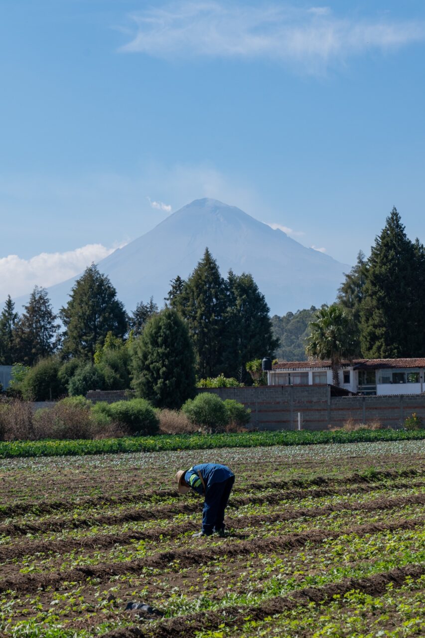 volcan Popocatépetl volcano cholula mexico farm