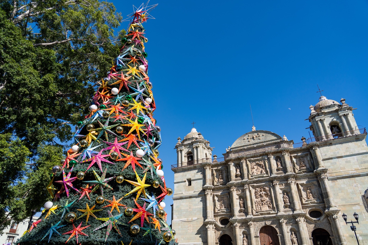 oaxaca city christmas tree